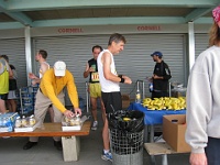 Kensington Challenge 15K 2008-09 032  After the race energy supplies.........mmmmmmmmmmmmmm............ bananas. : Events, Race, Running